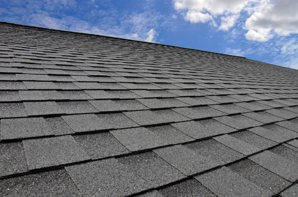 Best Roof Moss and Algae Removal  in Croydon, PA