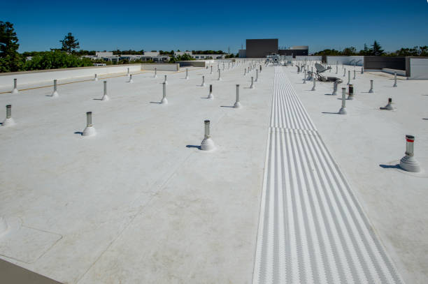 Best Roof Maintenance and Cleaning  in Croydon, PA